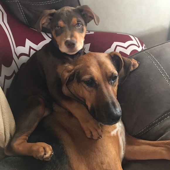 Welcome to my closet! Any questions, just ask! - Picture 1 of 1